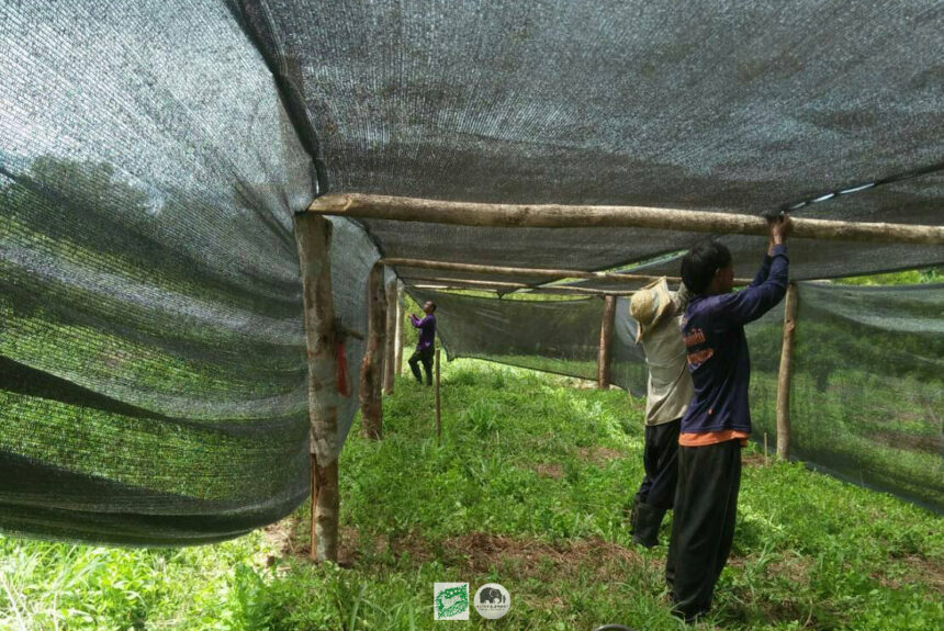 Thong Pha Phum : September 2020 Thong Pha Phum : September 2020