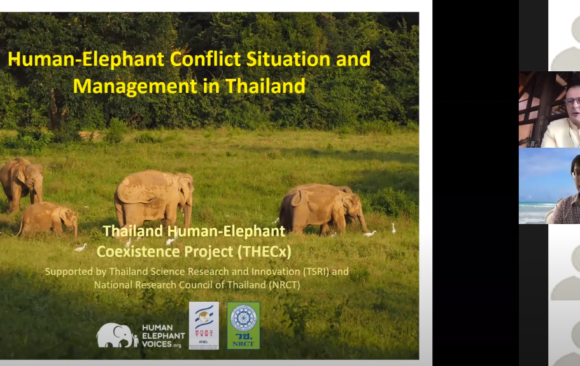 Human-Elephant Conflict Situation in Thailand. Online webinar by GTAEF