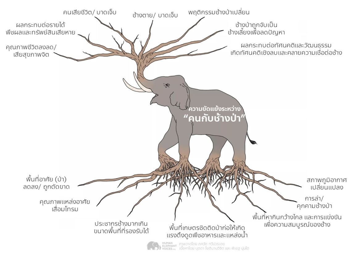 Root Cause of Human Elephant Conflict