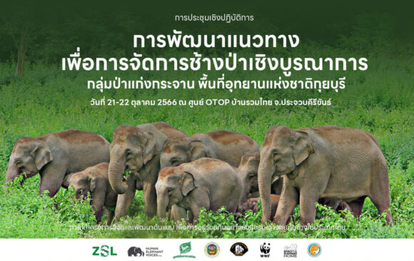 การพัฒนาแนวทางเพื่อการจัดการช้างป่าเชิงบูรณาการ กลุ่มป่าแก่งกระจาน พื้นที่อุทยานแห่งชาติกุยบุรี