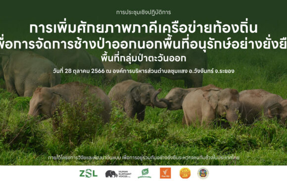 การประชุมเชิงปฏิบัติการ การเพิ่มศักยภาพภาคีเครือข่ายท้องถิ่นเพื่อการจัดการช้างป่านอกพื้นที่อนุรักษ์อย่างยั่งยืน พื้นที่กลุ่มป่าตะวันออก