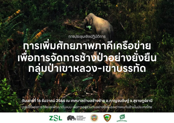 การประชุมเชิงปฏิบัติการการเพิ่มศักยภาพภาคีเครือข่าย เพื่อการจัดการช้างป่าอย่างยั่งยืน กลุ่มป่าเขาหลวง-เขาบรรทัด