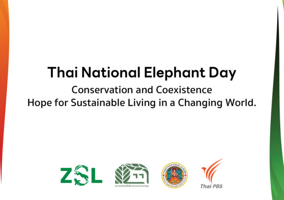 ขอเชิญร่วมงานสัมมนาและกิจกรรมสาธารณะวันช้างไทย 16 มีนาคม 2567